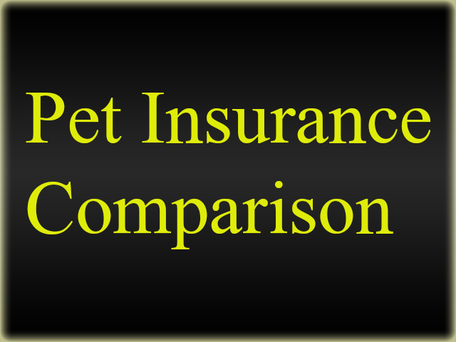 Pet-Insurance-Comparison
