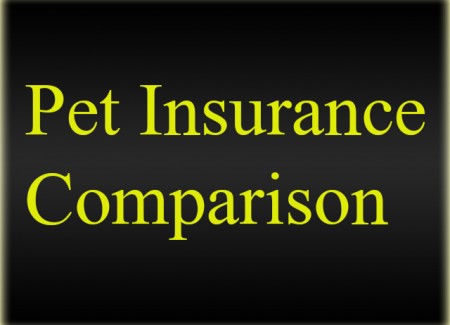 Pet-Insurance-Comparison