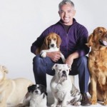 Some-Helpful-Practical-Guidelines-For-Dog-Owners.