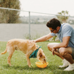 Super-ways-to-treat-your-pet-dog-well