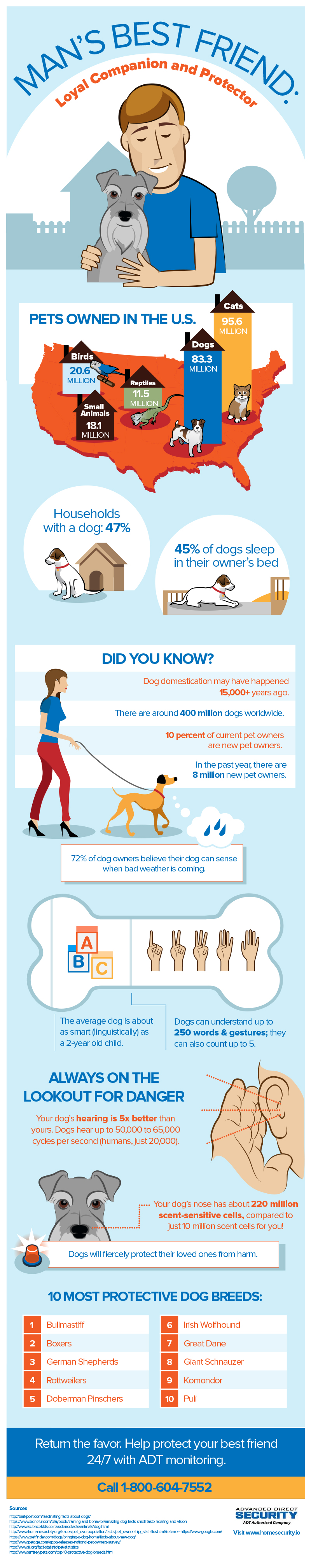 Dog-Infographic-final2