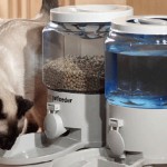 pet-feeder-for-your-cat