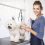 Tips for Finding the Best Mobile Pet Groomer in Your Area