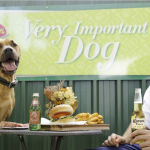 Best Healthy Treat Ideas for Your Dog