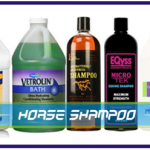 What to Consider When Buying a Horse Shampoo