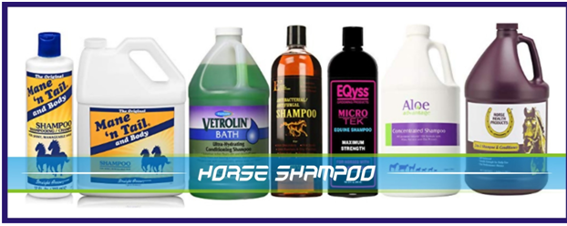 What to Consider When Buying a Horse Shampoo