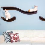 cat shelves from The Refined Feline
