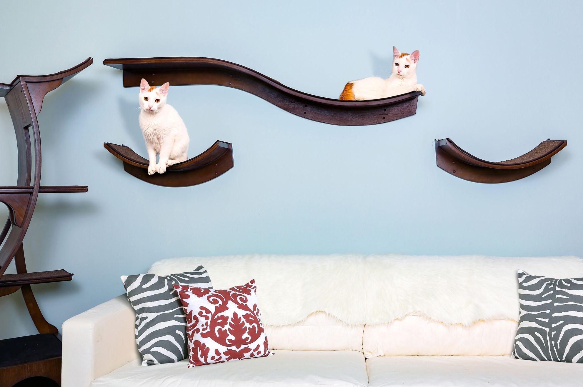 cat shelves from The Refined Feline