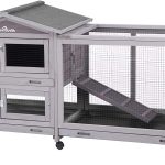 8 Best Rabbit Hutches to Buy