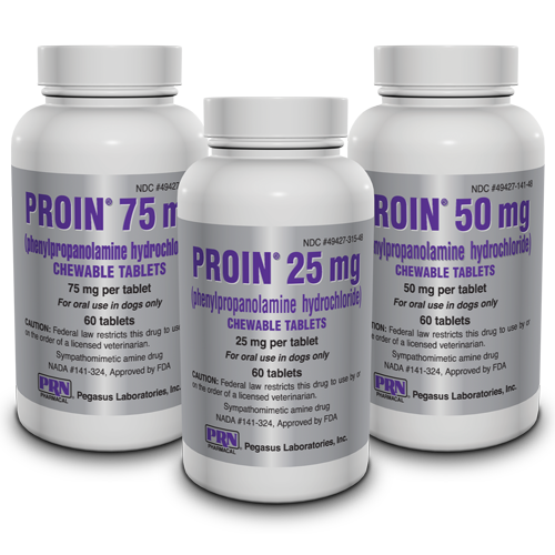 Everything You Need to Know About Proin