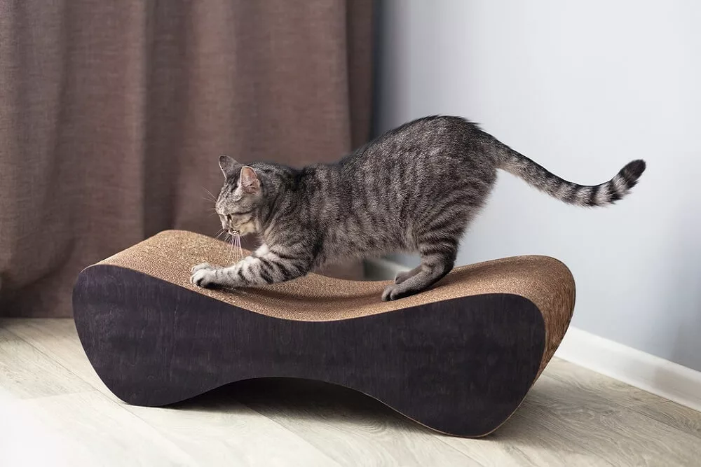 How to Keep Cats from Scratching Furniture