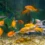 How To Take Care Of A Fish: A Complete Beginner’s Guide