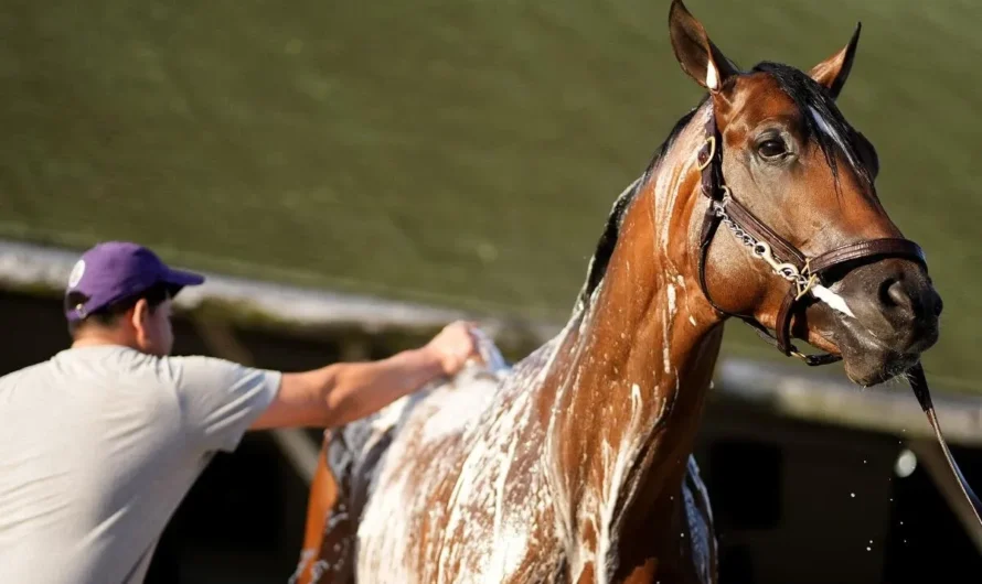 Track Phantom Horse: A Rising Star in the Racing World