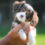 Is the Cavalier Breed in Crisis? One Club Thinks It Has the Answer