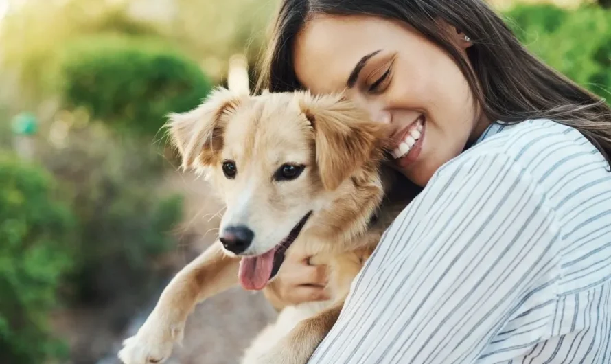 Was ist Tieradoption und wie funktioniert sie?