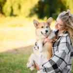 Doggy Day Care Chelsea and Kensington