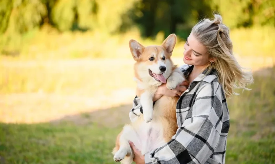 How Top-Tier Dog Care Centers Leverage Holistic Modern Dog Care Strategies to Actualize the Innate Needs of Your Pet in Chelsea