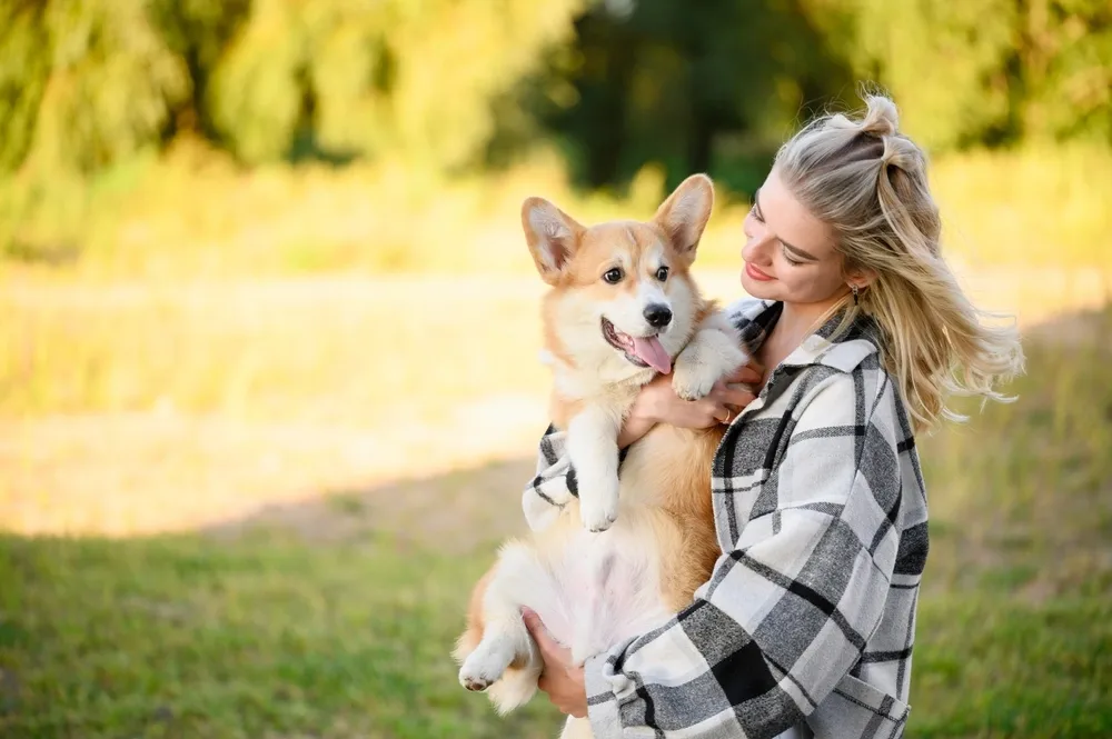 Doggy Day Care Chelsea and Kensington