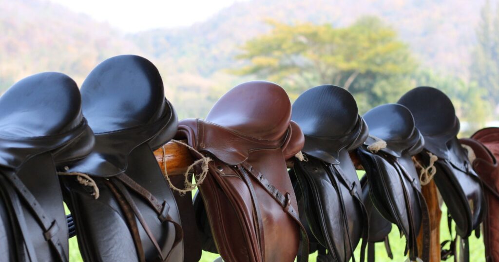 Used Saddle for Sale