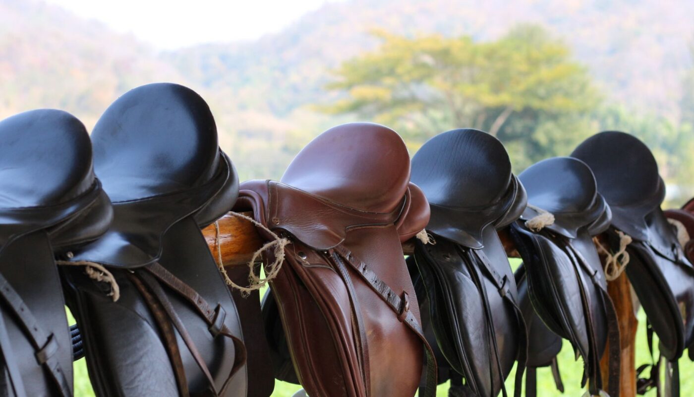 Used Saddle for Sale