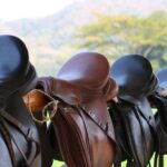 Used Saddle for Sale