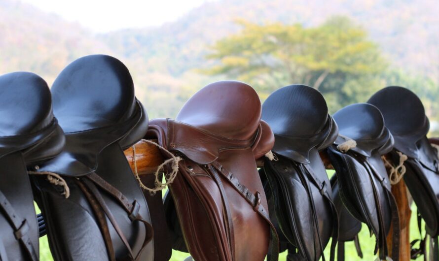 What to Look for When Buying a Used Saddle for Sale: A Practical Buyer’s Guide