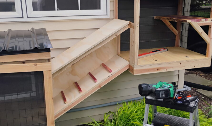 What Is a Catio? A Safer Outdoor Space for Indoor Cats