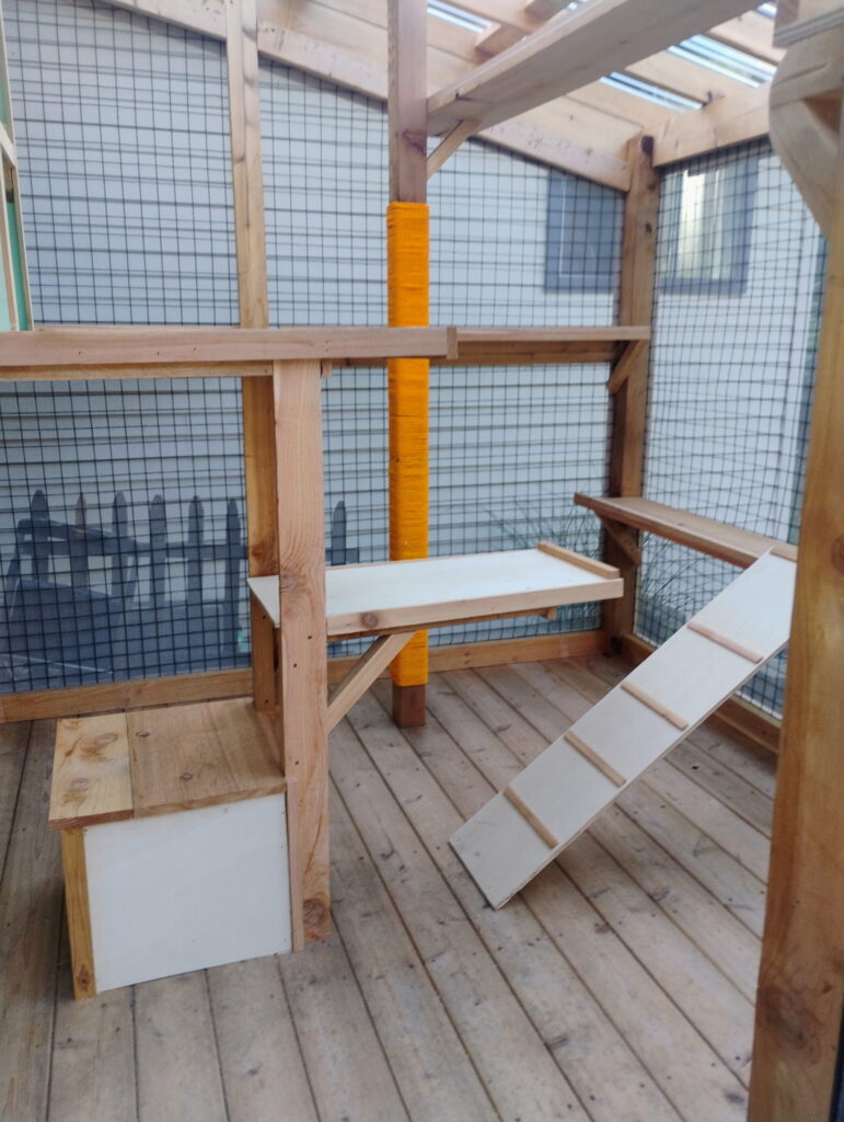 Why Indoor Cats Benefit From Catios Why Indoor Cats Benefit From Catios